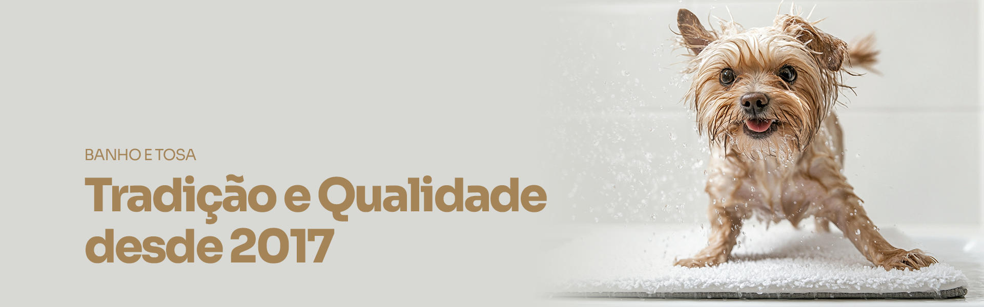 Banho e Tosa em S�o Caetano no Sul - For Pet S�o Caetano