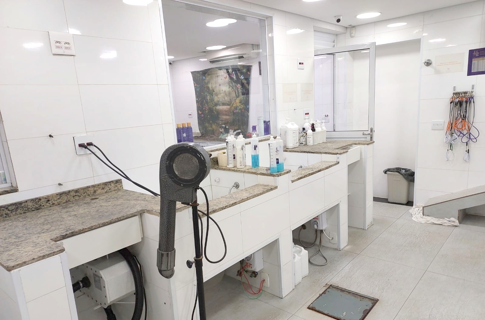 Banho e Tosa - For Pet S�o Caetano