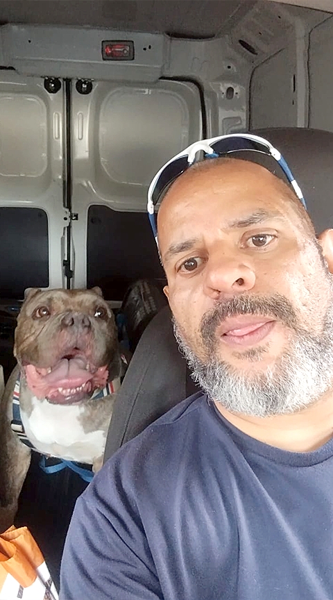 Taxi Dog - For Pet S�o Caetano