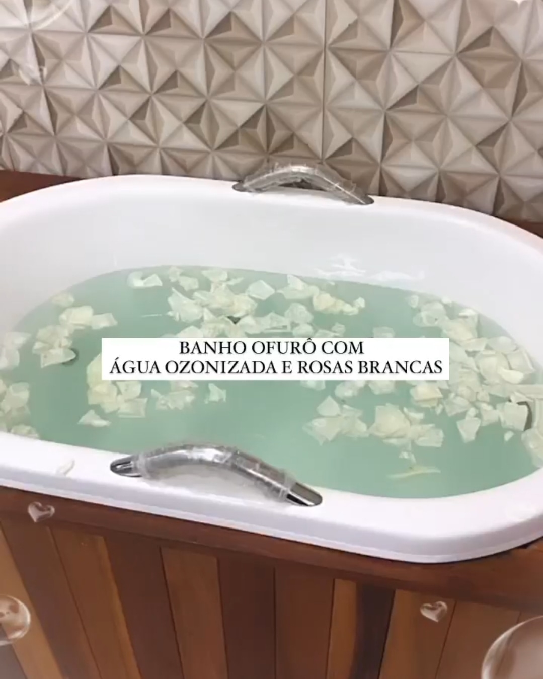 Banho e Tosa - For Pet S�o Caetano