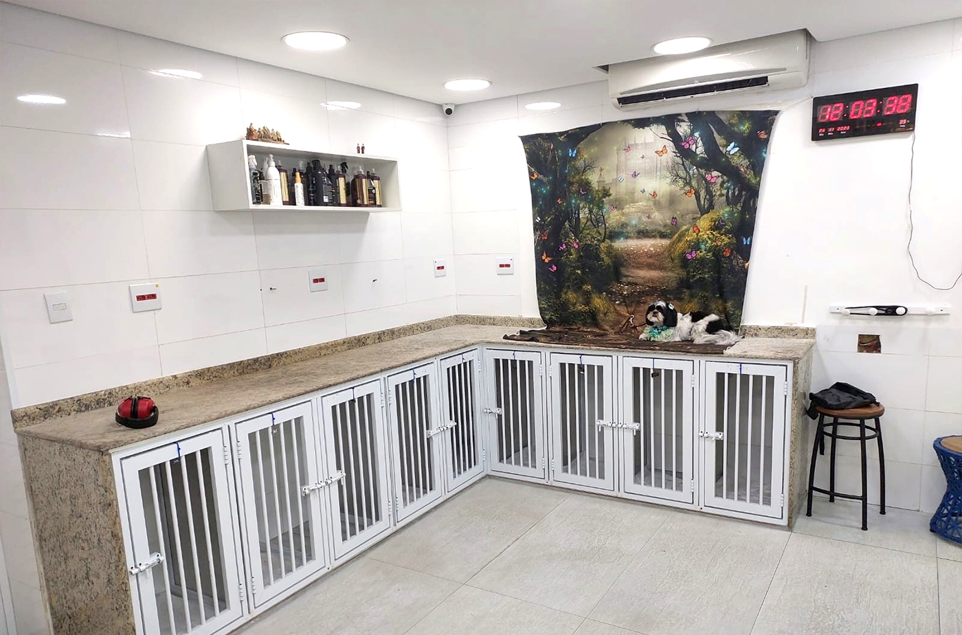 Banho e Tosa - For Pet S�o Caetano