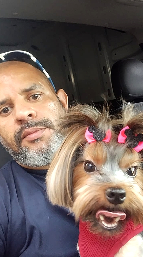 Taxi Dog - For Pet S�o Caetano